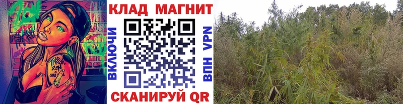 Виды наркоты Болотное ГАШ  Амфетамин  Меф  Каннабис  А ПВП 
