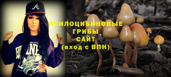 бошки Алексин