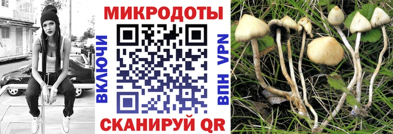 Галлюциногенные грибы MAGIC MUSHROOMS купить наркотик Болотное