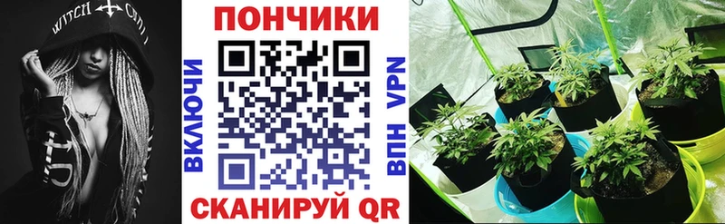 Конопля VHQ  блэк спрут вход  Болотное 